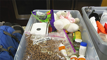 Plastic bins containing emergency kit enough supplies to support your family and pets for at least 72 hours.