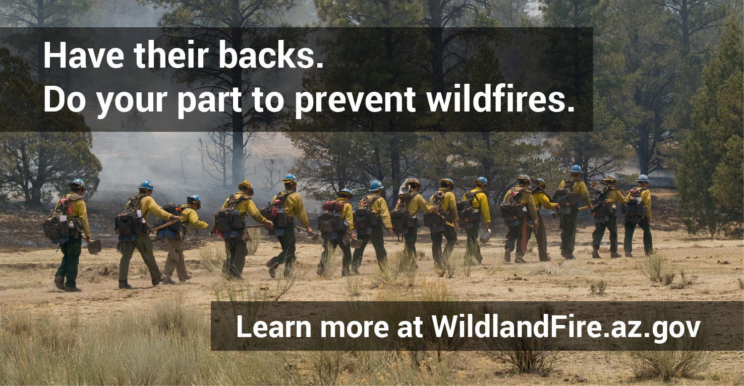 wildland firefighters