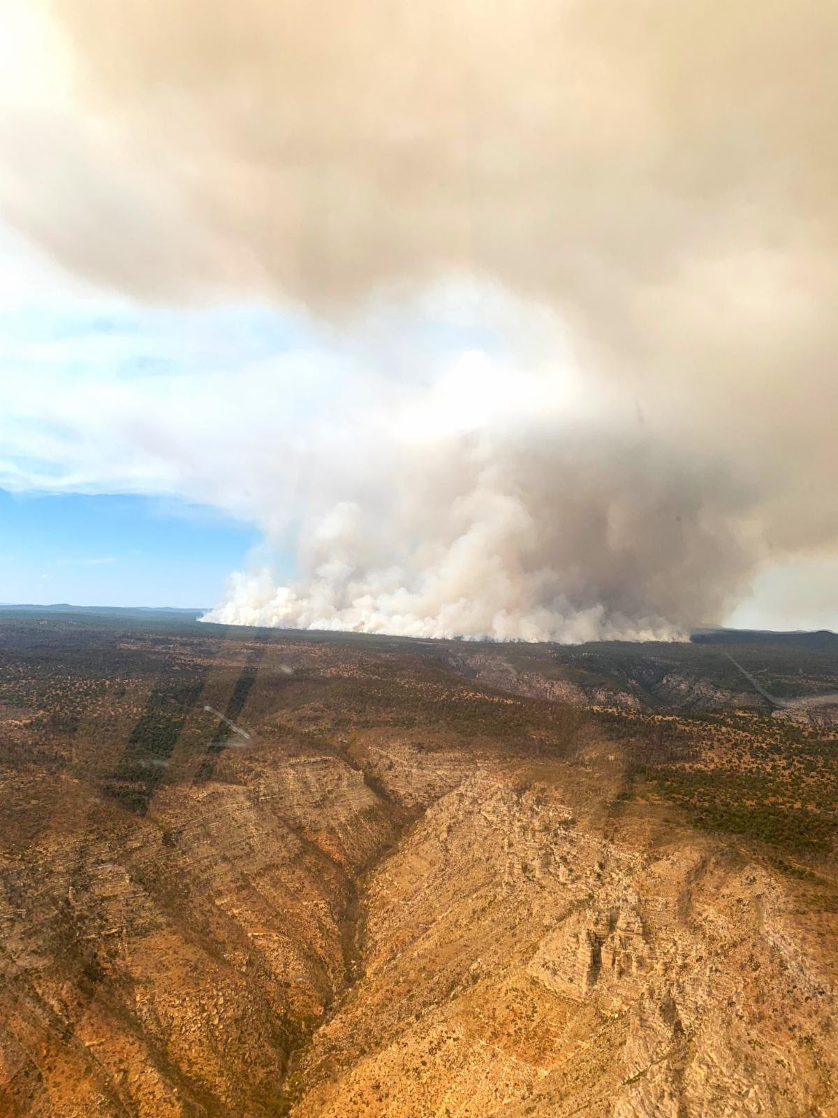 An aerial view of Pine Flat prescribed fire at the top of Sycamore Canyon October 18 2023