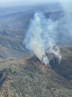 This is photo 1 of the Wasson Peak Fire on October 2 2024