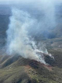 This is photo 1 of the Wasson Peak Fire on October 2 2024