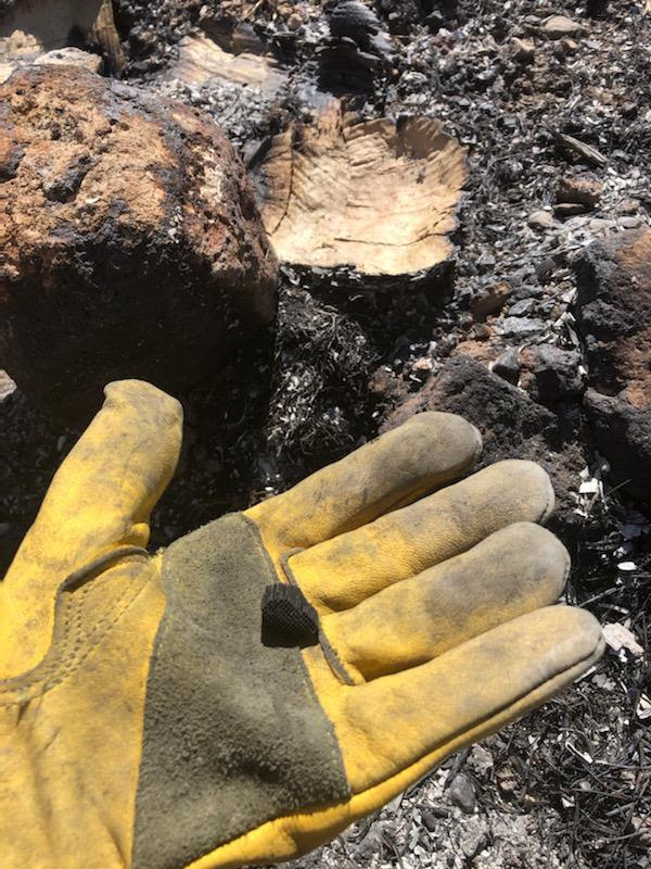 photo of a yellow gloved hand holding a small piece of burned material