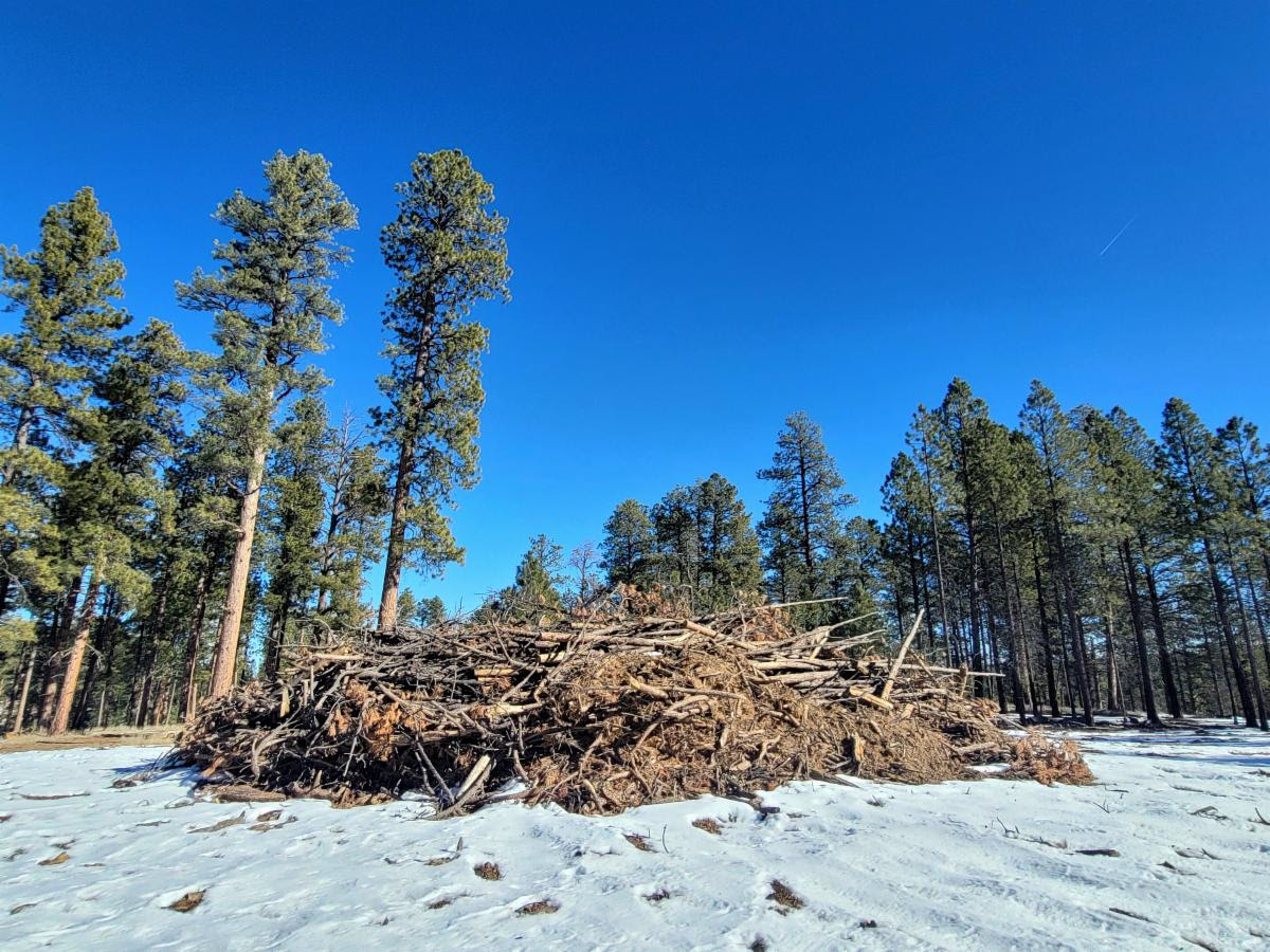 Picture of a pile of forest debris ready to burn