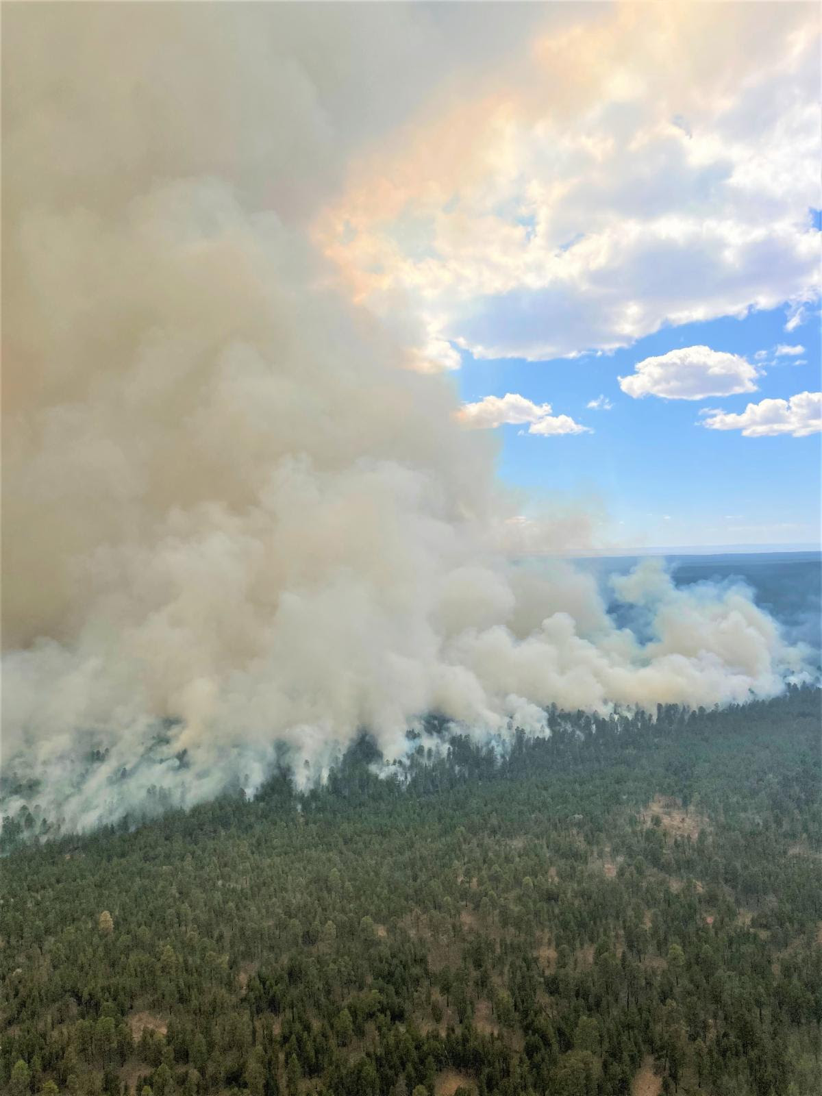 Aerial view of smoke from the Blue Stem Prescribed Fire