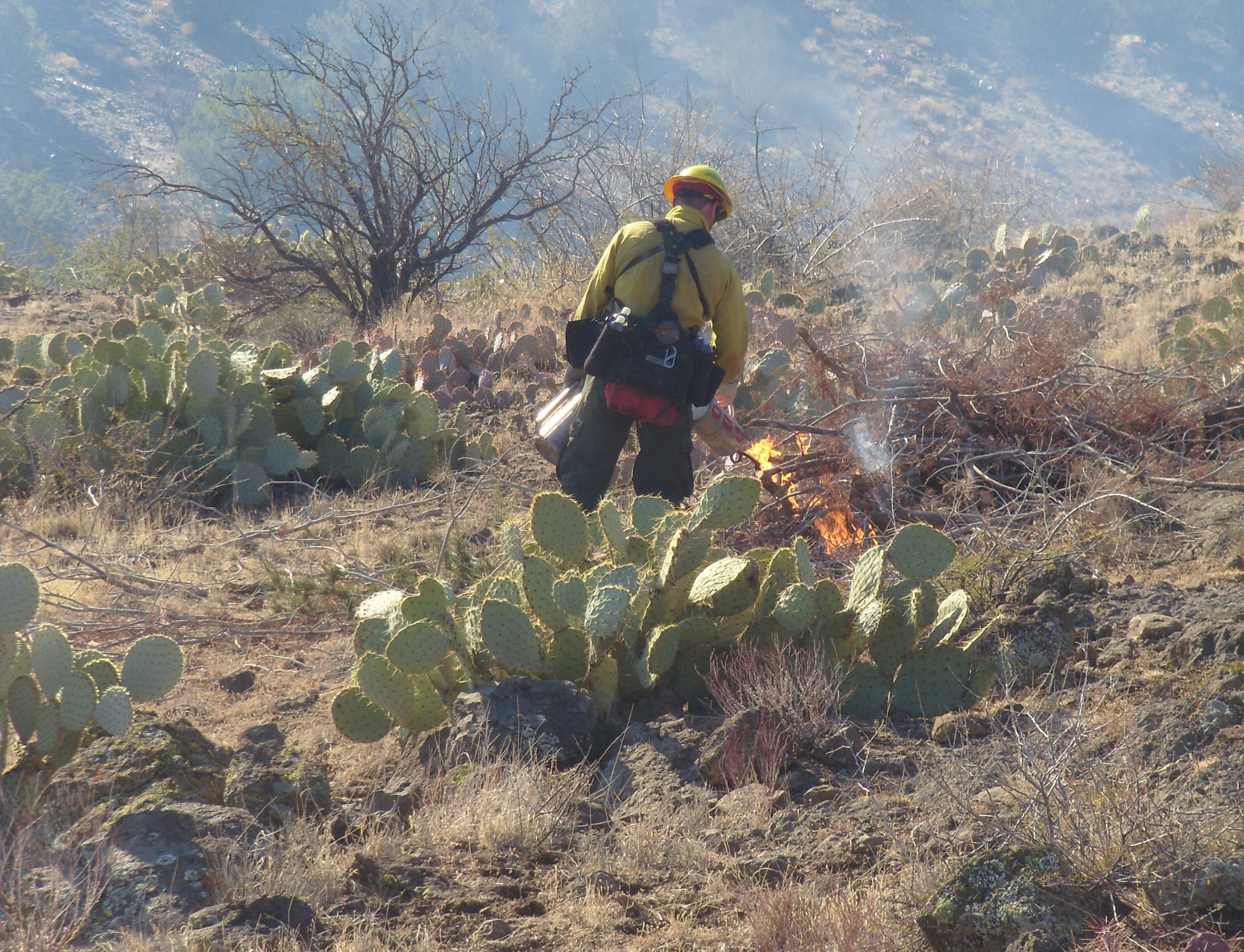  Photo: A firefighter ignites a brush pile during a past prescribed burn on the Agua Fria National Monument / BLM file photo