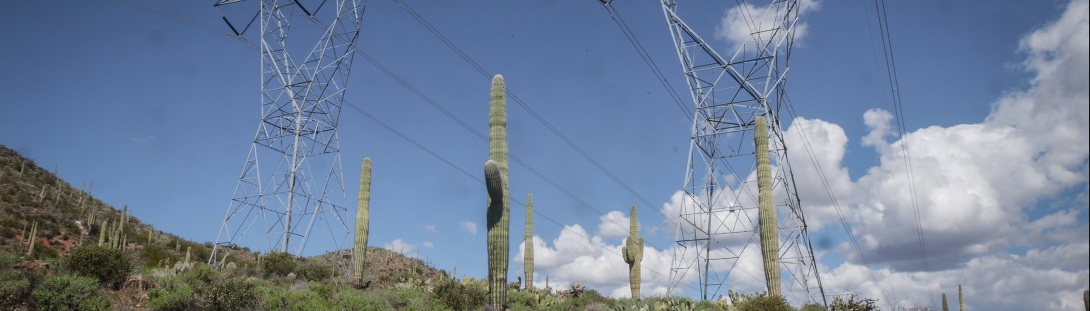 Electric towers raised on top of Arizona mountain around saguaro cacti.