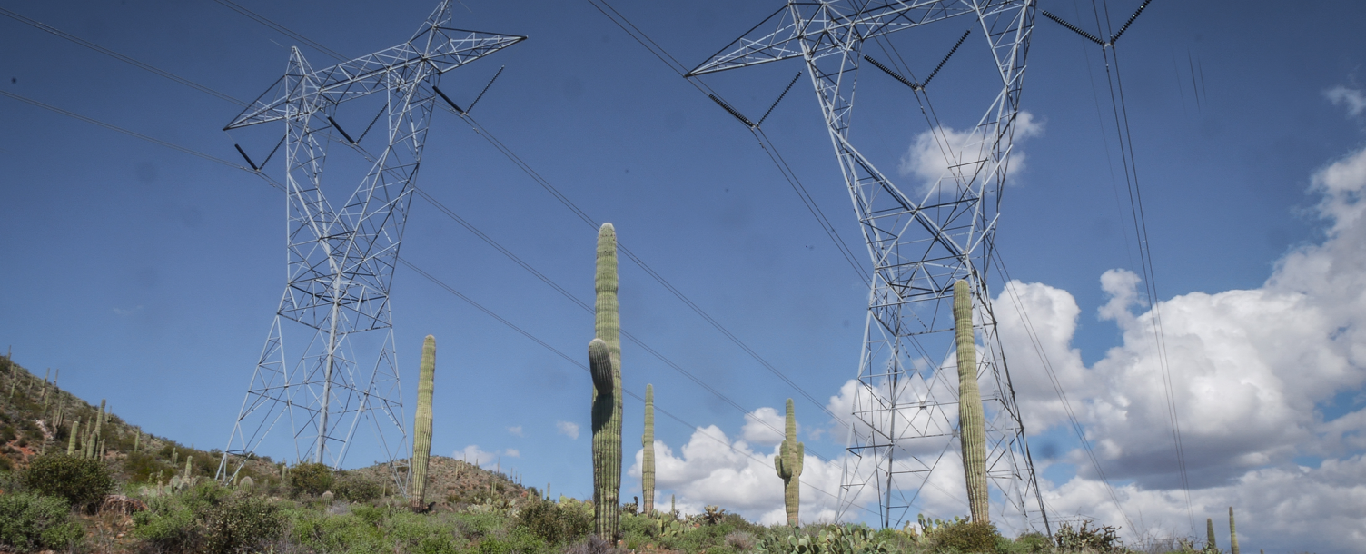 Electric towers raised on top of Arizona mountain around saguaro cacti.